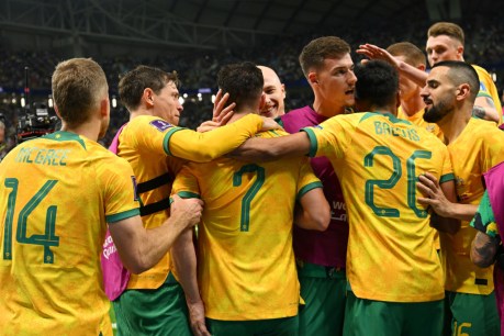 What the Socceroos did in Qatar means for the game