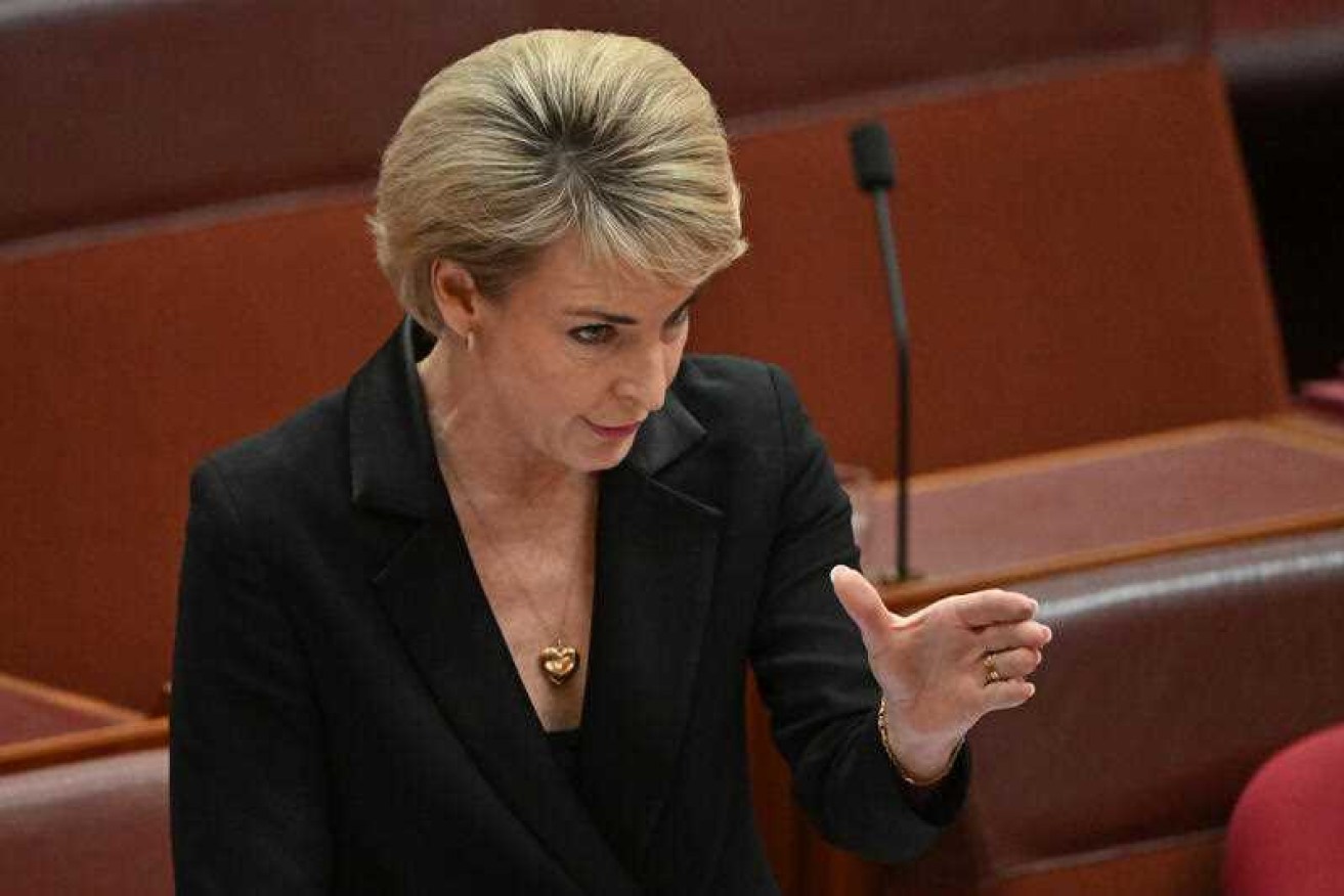 Liberal senator Michaelia Cash says changes to workplace laws are bad for small businesses. 