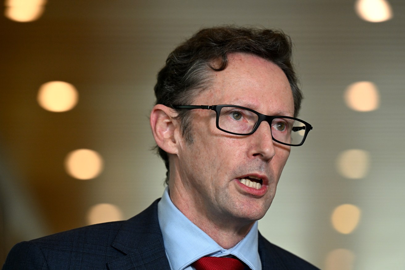 Stephen Jones says the business register system blowout is due to an over-reliance on consultants.
