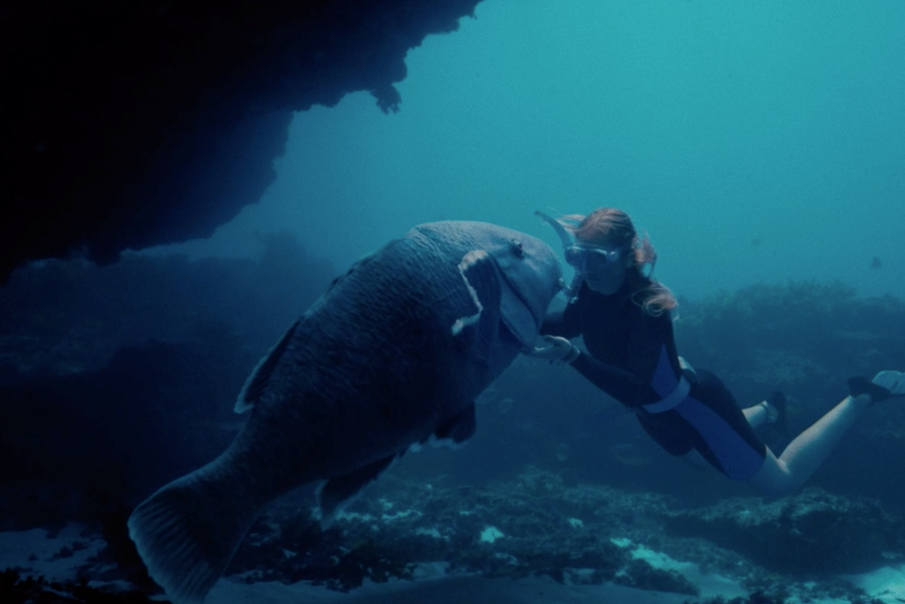 There's magic in this film, especially between a little girl and a big, wild fish she befriends.
