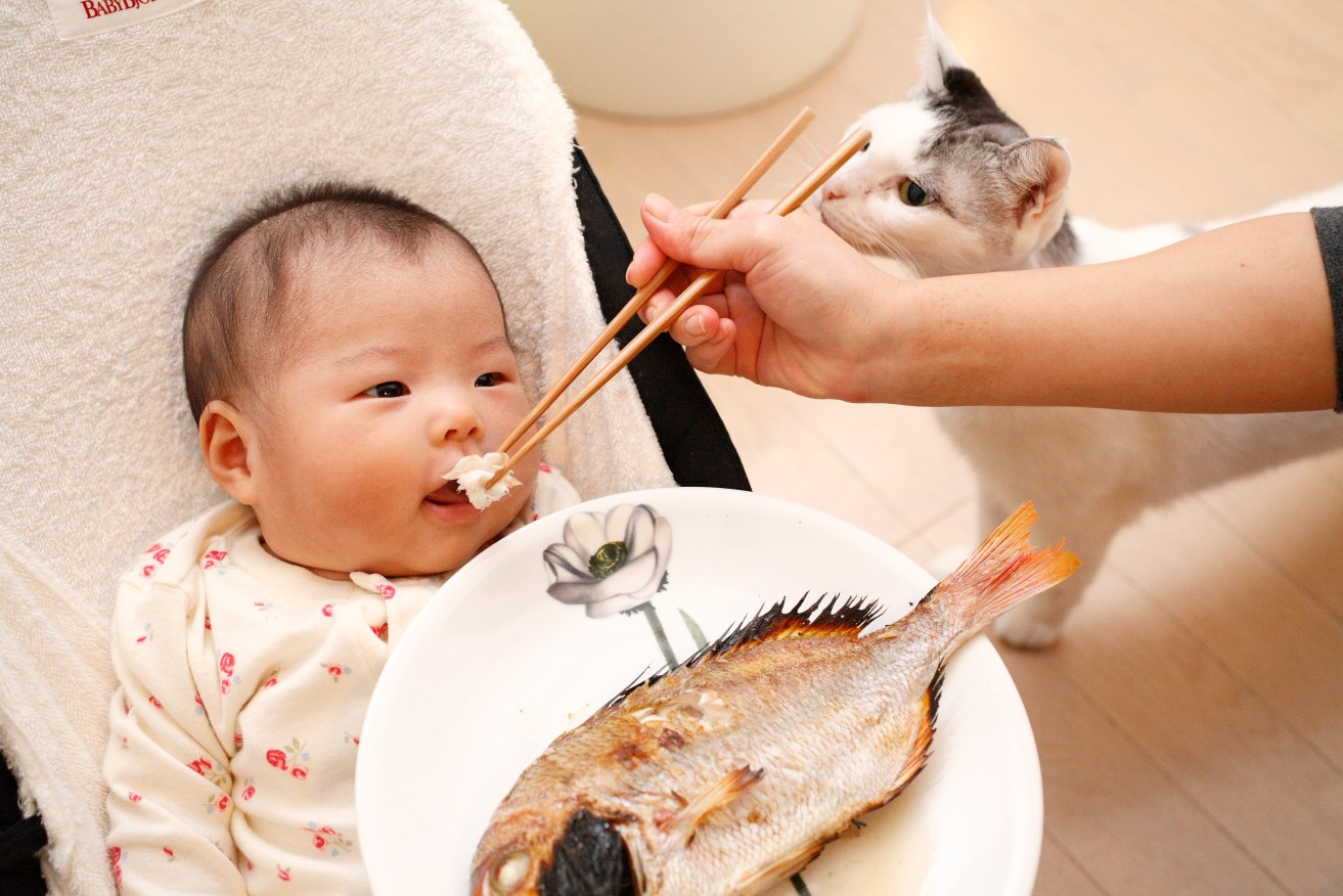 The key to preventing obesity is starting babies early on a range of vegetables and fatty fish. 