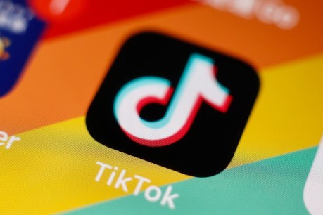 TikTok’s top trends: What Aussies loved this year