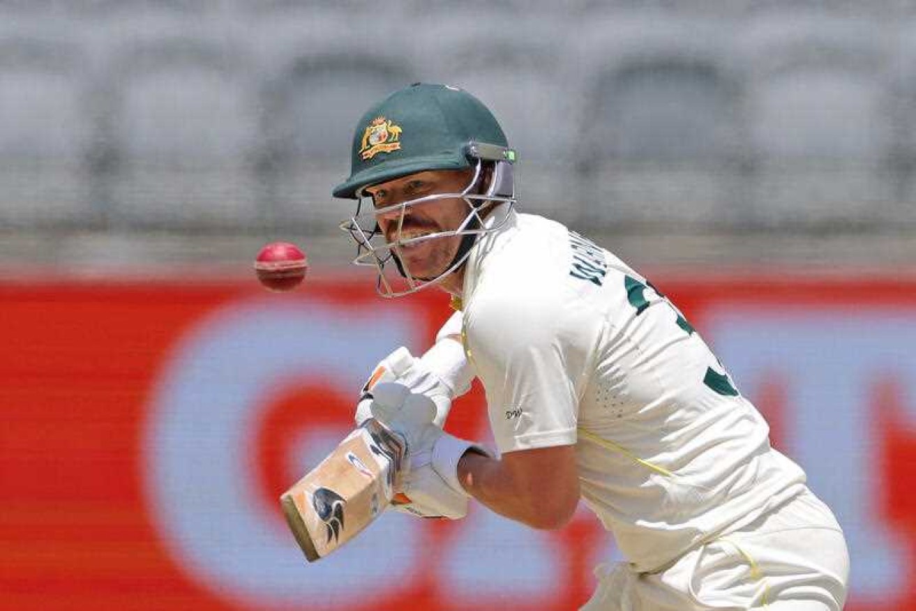David Warner has withdrawn his bid to have his captaincy ban lifted, fearing a public lynching.