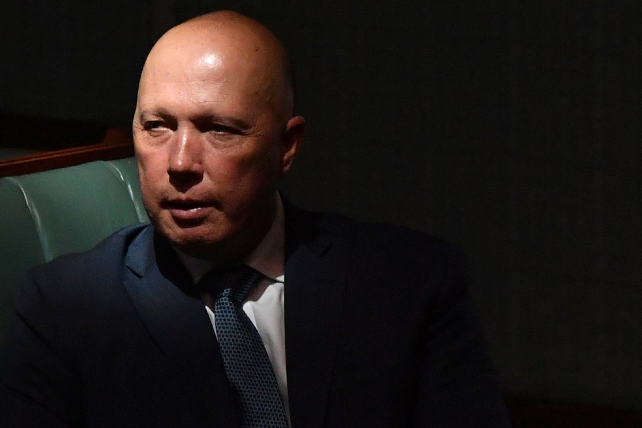 Peter Dutton was too prominent in Labor's vision, a top professor says.