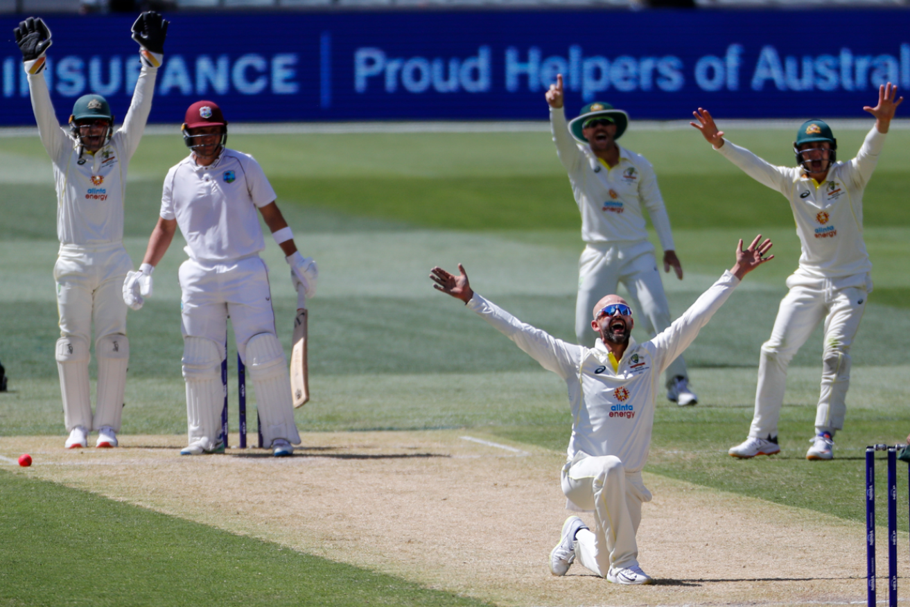 Spinmeister extraordinaire Nathan Lyon adds another scalp to his collection in Adelaide. <i>Photo: AAP</i>