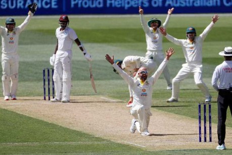 Off-spinner Lyon notches Test wicket No.450