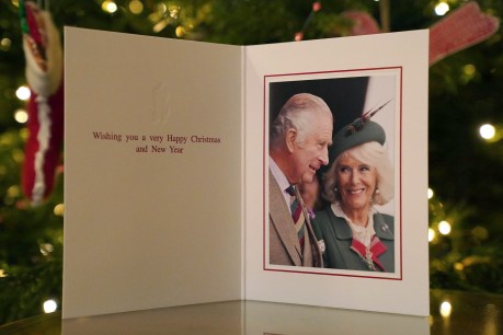 King, Queen Consort release first Christmas card