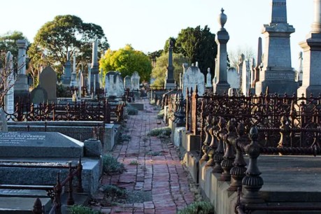 Thousands more Australians died in 2022 than expected. COVID caused most deaths