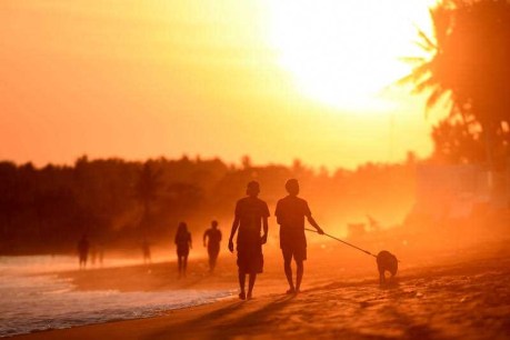Indonesia sex laws pose &#8216;no risk to tourists&#8217;