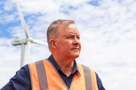 Politically charged Albanese braces for a high-voltage end to the year