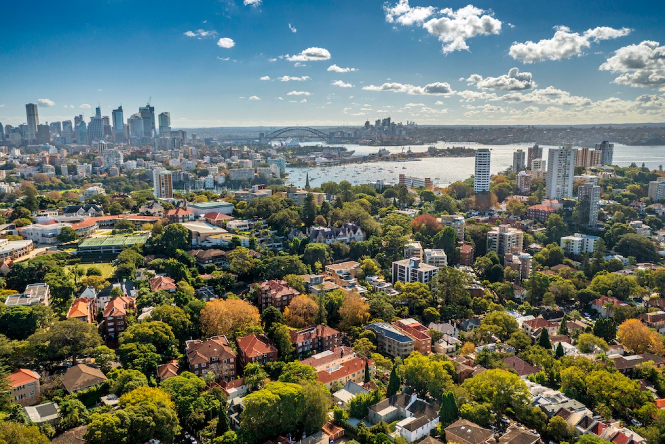 The City of Sydney is hoping to plant more trees to offset the effects of climate change.