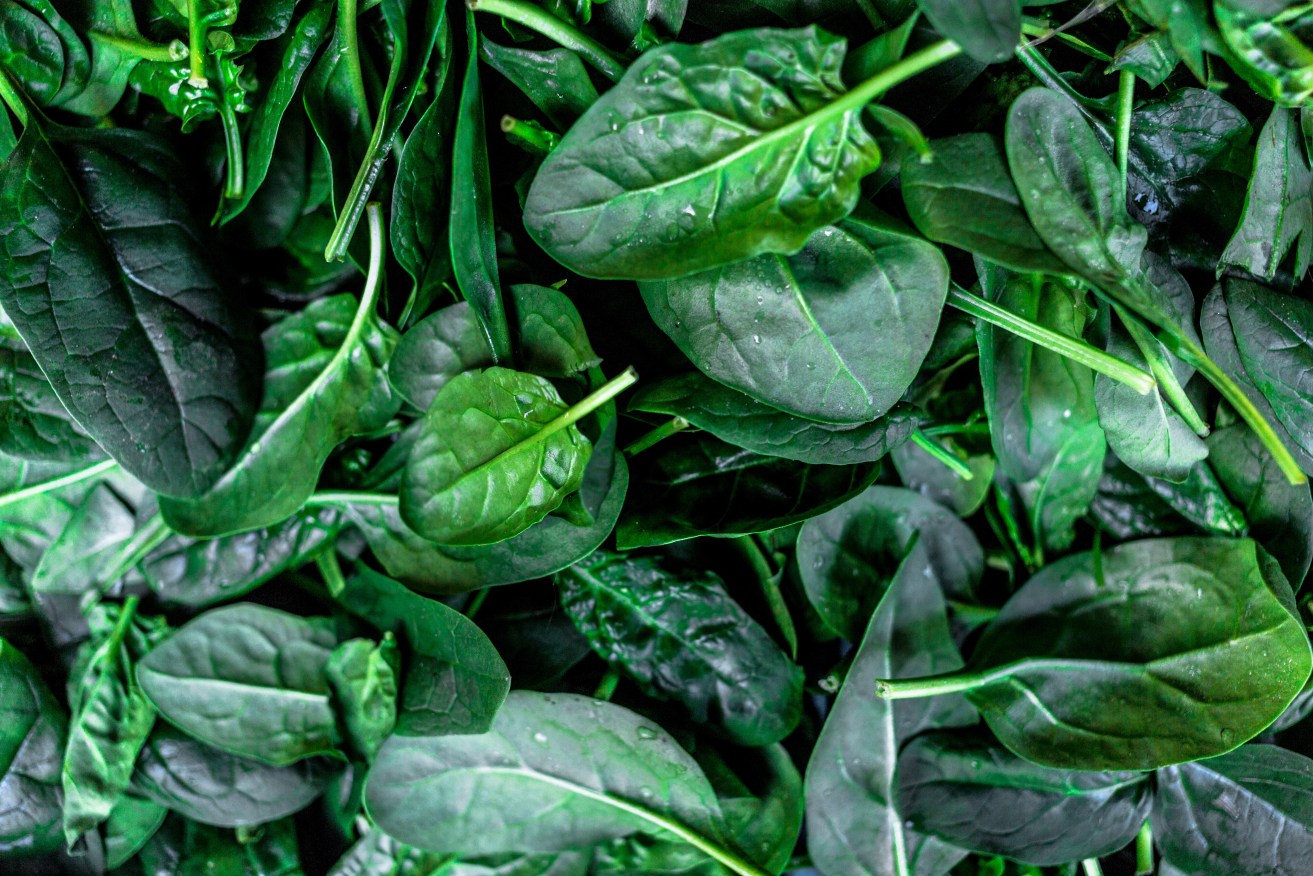 The contaminated spinach came from just one farm, so no reason to spurn other growers' products. <i>Photo: Getty</i>