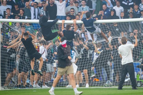 Fans banned: Melbourne Victory pay high price for fans’ pitch invasion