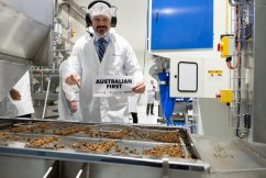 Factory to produce plant-based ‘meat’ ingredients