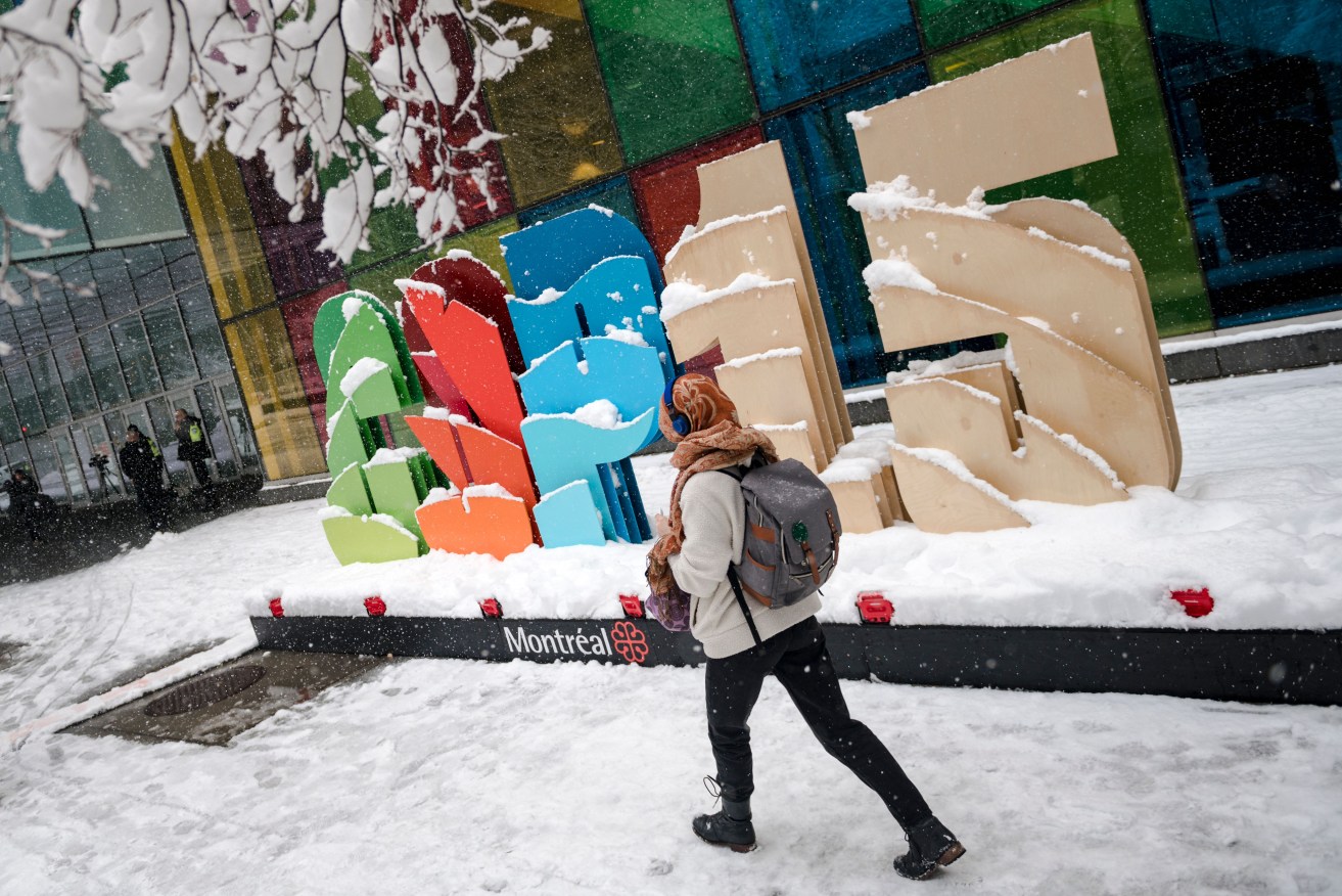 COP15 delegates have been able to build consensus around the most ambitious target of protecting 30 per cent of the world's land and seas by the decade's end.