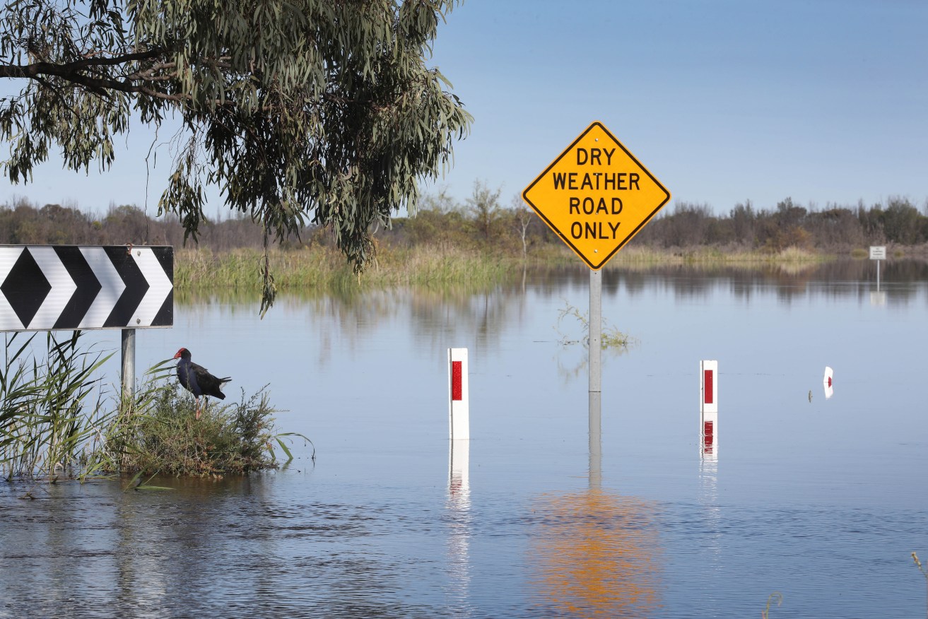 SES crews in Adelaide have responded to hundreds of calls from home owners after rain and flooding.