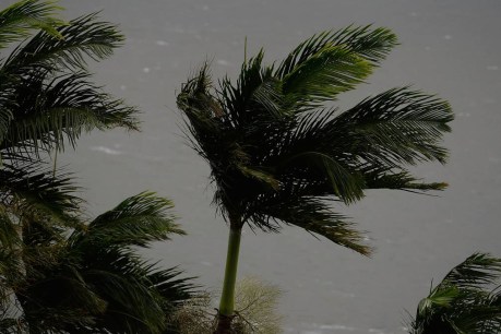 Tropical cyclone Ellie hits Northern Territory