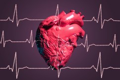 Gene therapy shows promise for treating heart failure