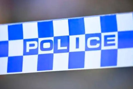 Two Queensland teens charged after shots fired