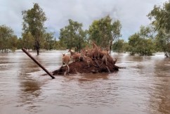 Broome and Derby to be cut off by flood