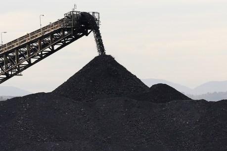 Worker dies at central Queensland mine
