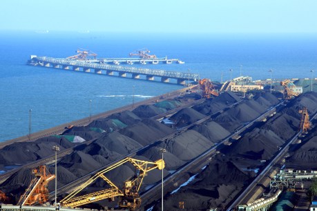 Blockade Australia protest action at coal ports