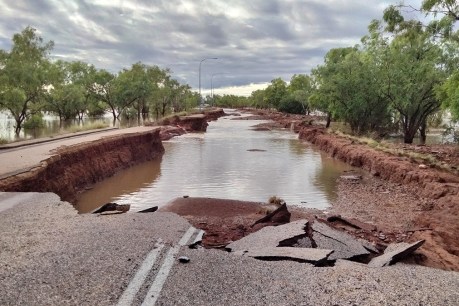 Recovery begins as flood waters subside in Kimberley region