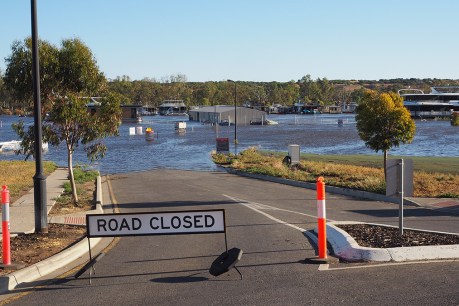Elderly man missing in South Australian flood waters