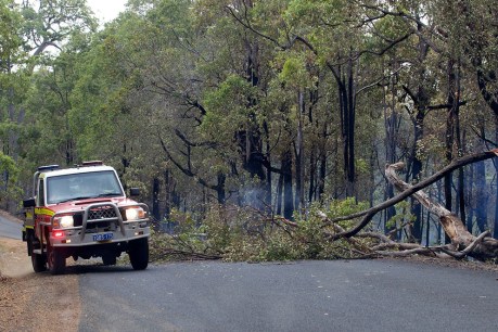 Residents warned to flee WA bushfires
