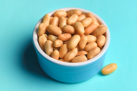 Boiling peanuts might help cure allergies: Research