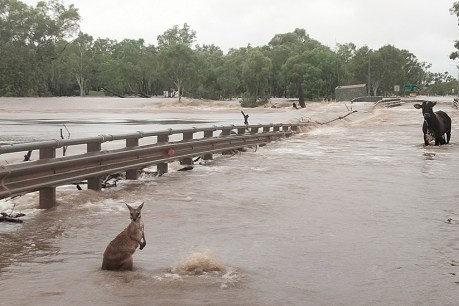 Western Australia bracing for another cyclone