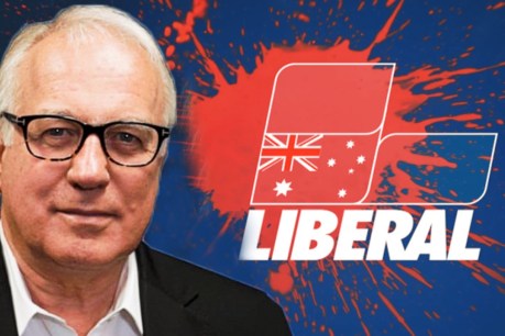 Liberal Party is retirement village for male boomers