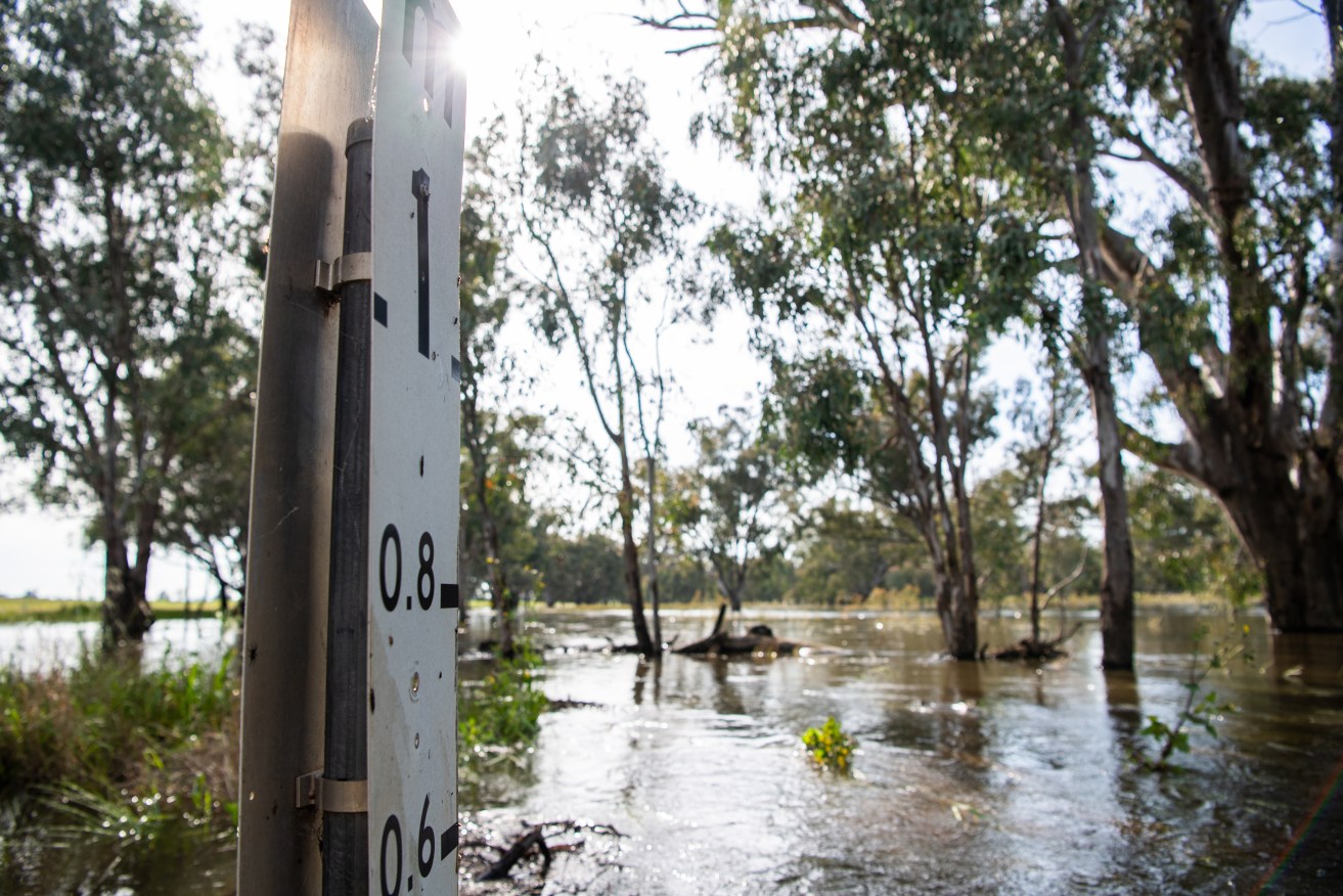 The BoM said it is working with all levels of government to streamline the network of river gauges.