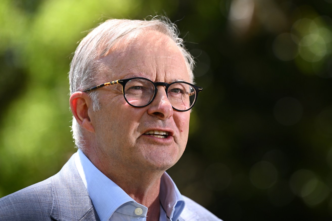 Anthony Albanese says public funds should not be used to finance the 'yes' or 'no' campaigns for the voice to parliament referendum.