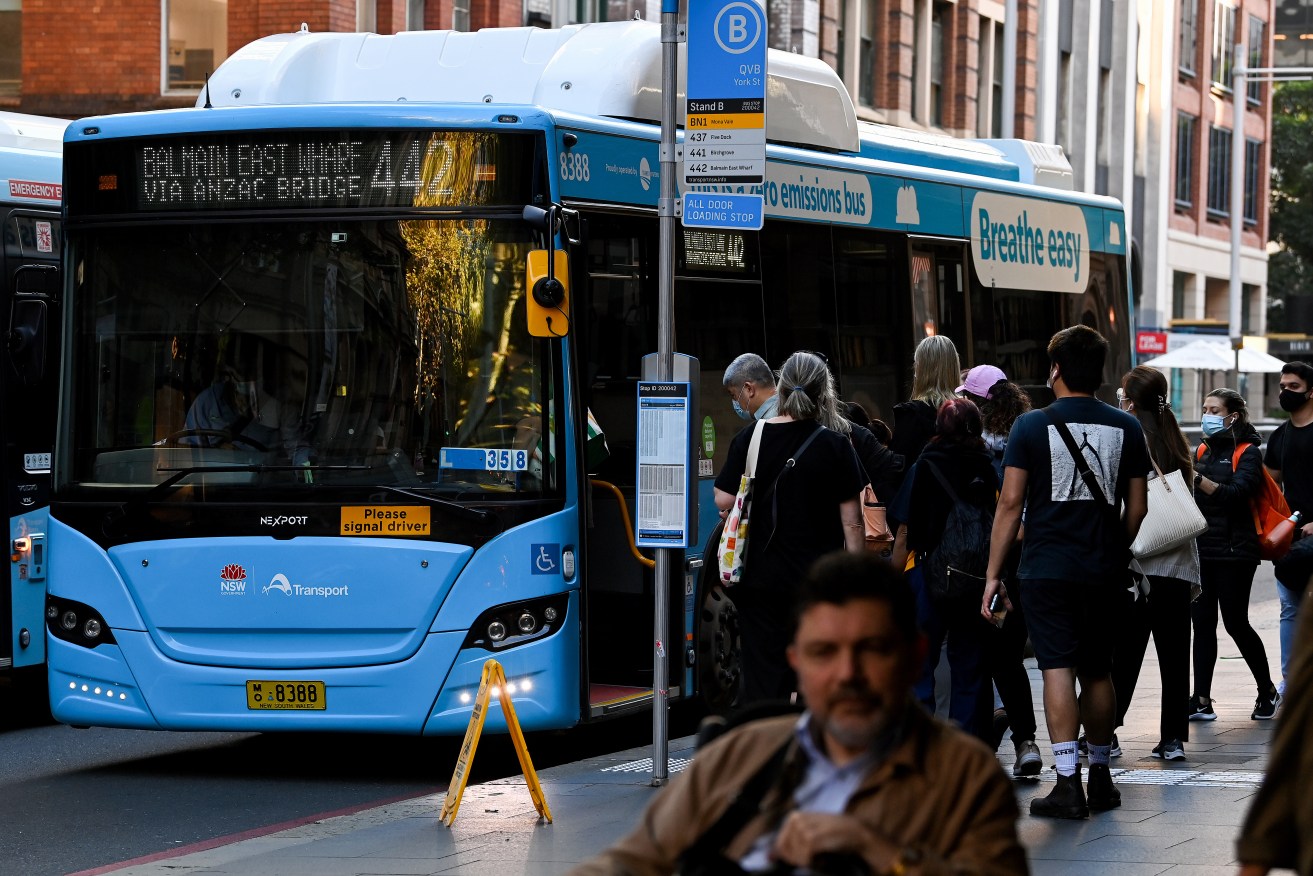 Sydney's bus network has a shortage of drivers. 