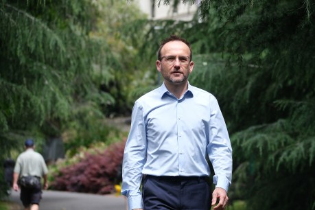 Greens issue climate policy demands