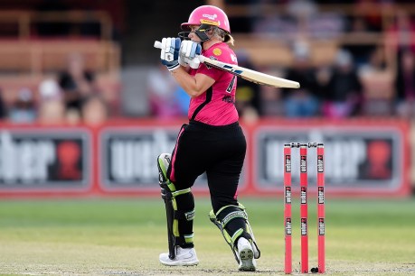‘Dog attack’ sidelines cricket star Alyssa Healy