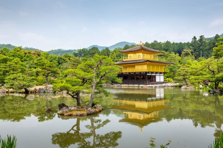 Sumos, temples and geishas &#8211; a Japan journey not to be missed
