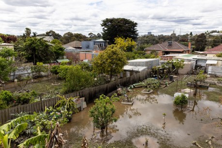 Maribyrnong flood review chief stands down