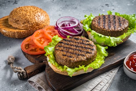 Salt in plant-based burgers is food for thought