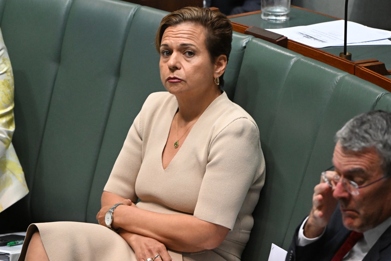 Michelle Rowland made "all the appropriate declarations", the deputy prime minister said. 