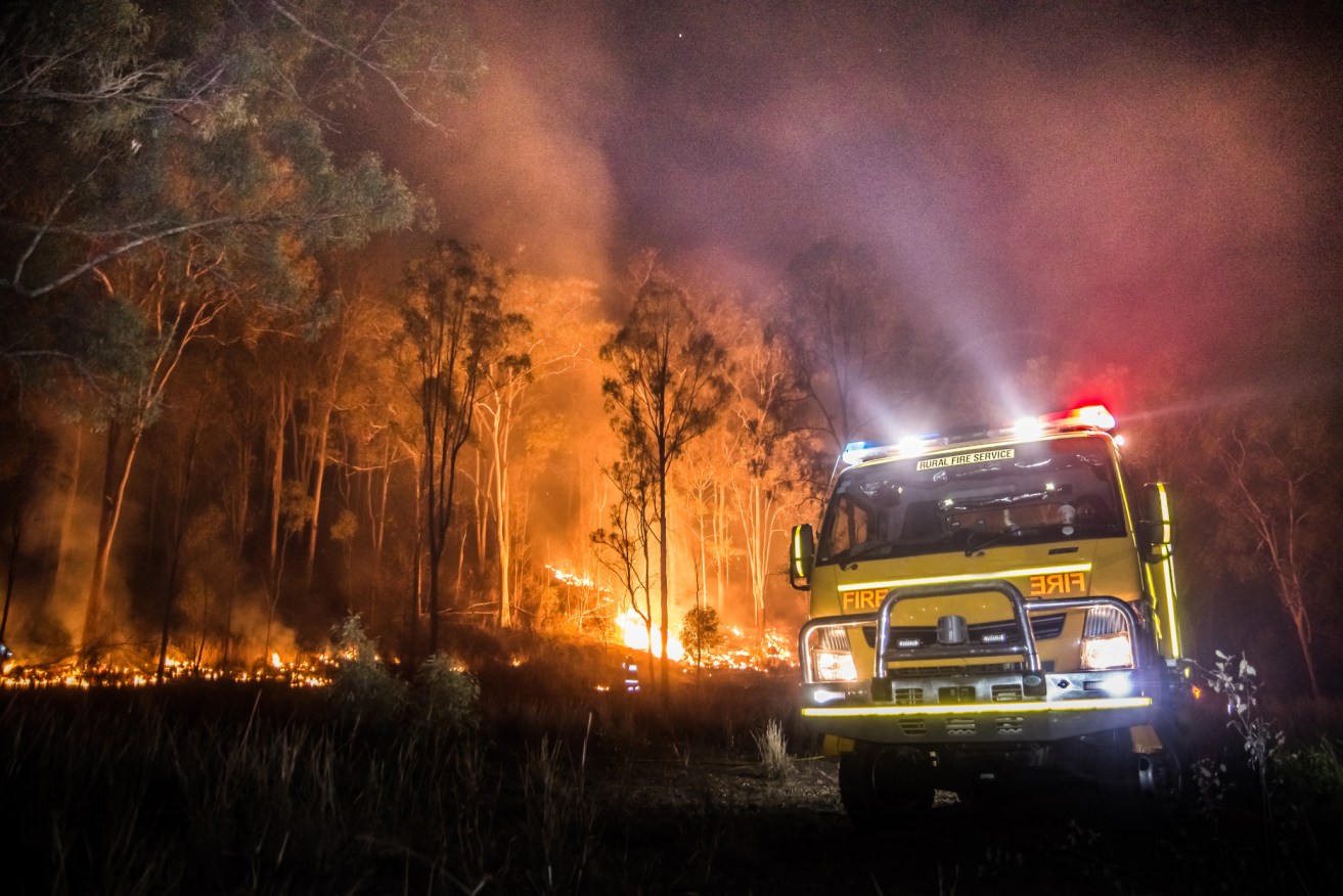 First came the rain promoting plant growth, followed by the heat and the late-season bushfire threat. <i>Photo: AAP</>