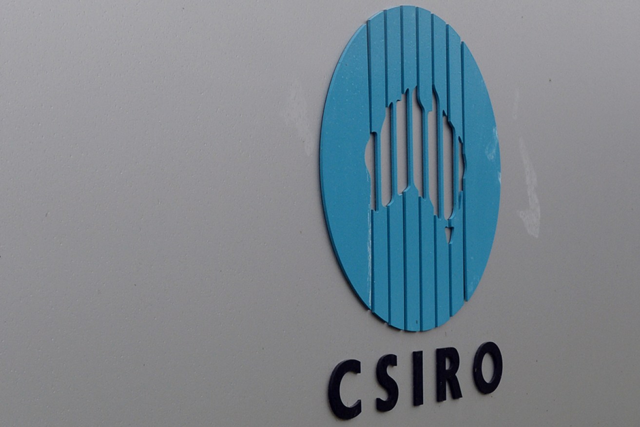 Environmental groups have criticised the inclusion of carbon capture and storage in a CSIRO report. 