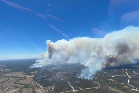 Race to contain Queensland bushfires as heatwave looms