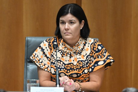 Under pressure, NT Chief Minister Natasha Fyles dumps Woodside stock
