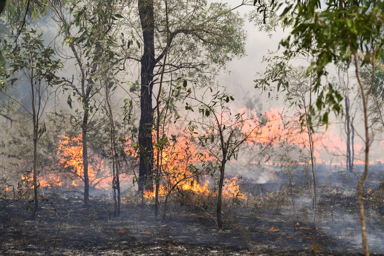 Residents are being warned of toxic smoke, as fire crews battle a bushfire at Port Lincoln. 