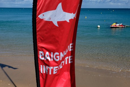 Australian tourist dies in shark attack