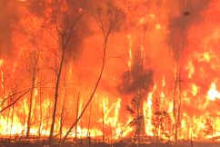 Climate Council warns of looming devastating fires