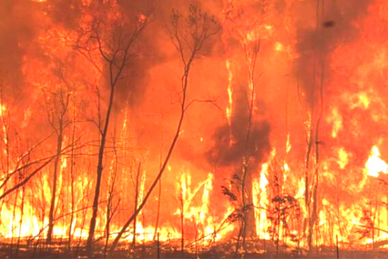 The NSW coroner says it was remarkable more lives were not lost to the Black Summer bushfires.