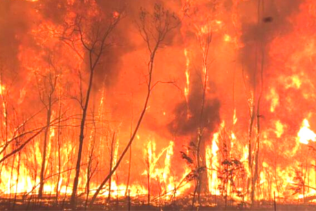 Climate Council warns of looming devastating fires